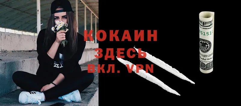 Cocaine VHQ  купить  сайты  Городец 